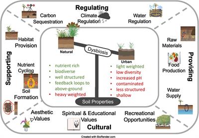 Improving ecosystem services of urban soils – how to manage the microbiome of Technosols?